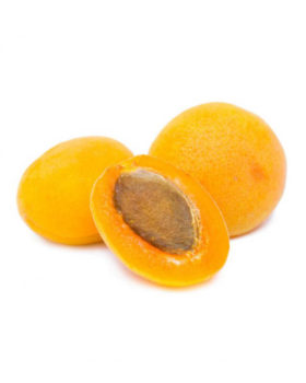 quis autem veleuminium